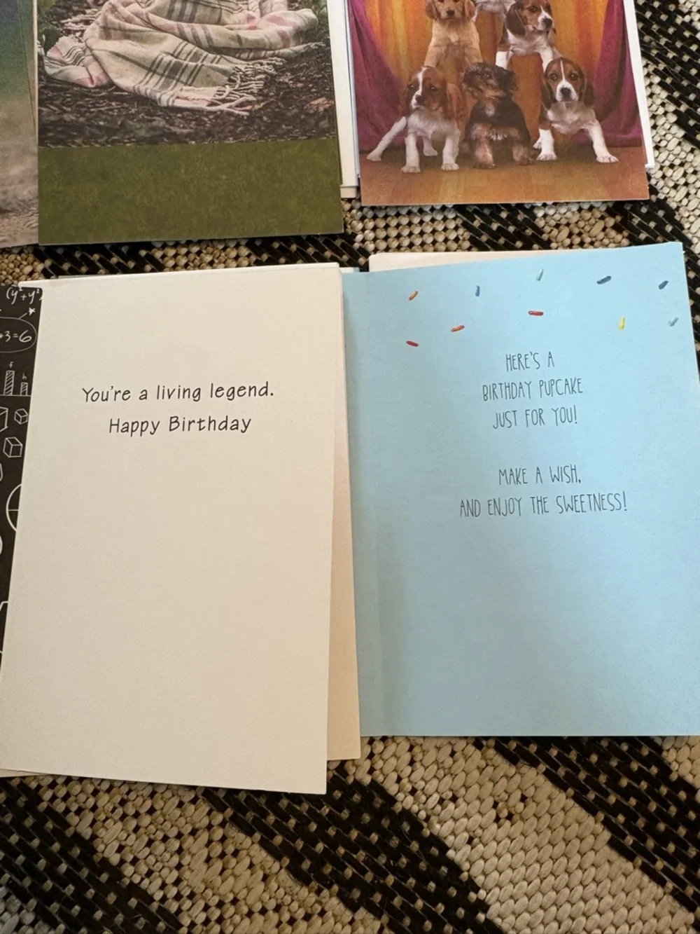🆕Recycled Paper Greetings-American Greetings Animal Birthday Cards, Bundle Of 20